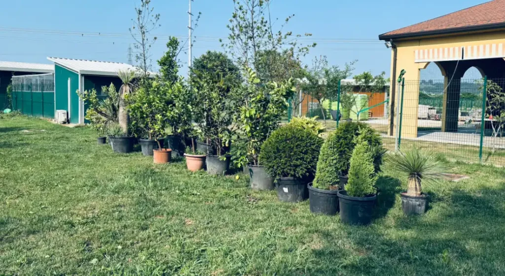 come nasce una pensione per cani