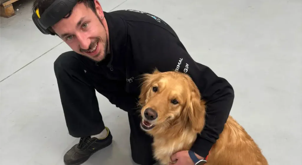 golden retriever irresistibile viene coccolato