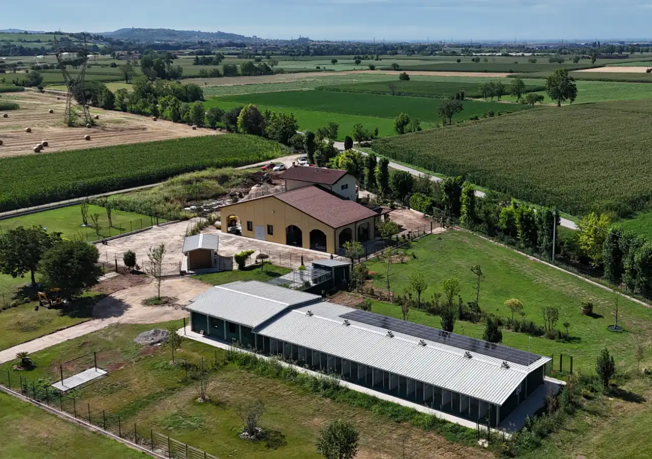 tierra noble pensione per cani e gatti allevamento vista dall'alto