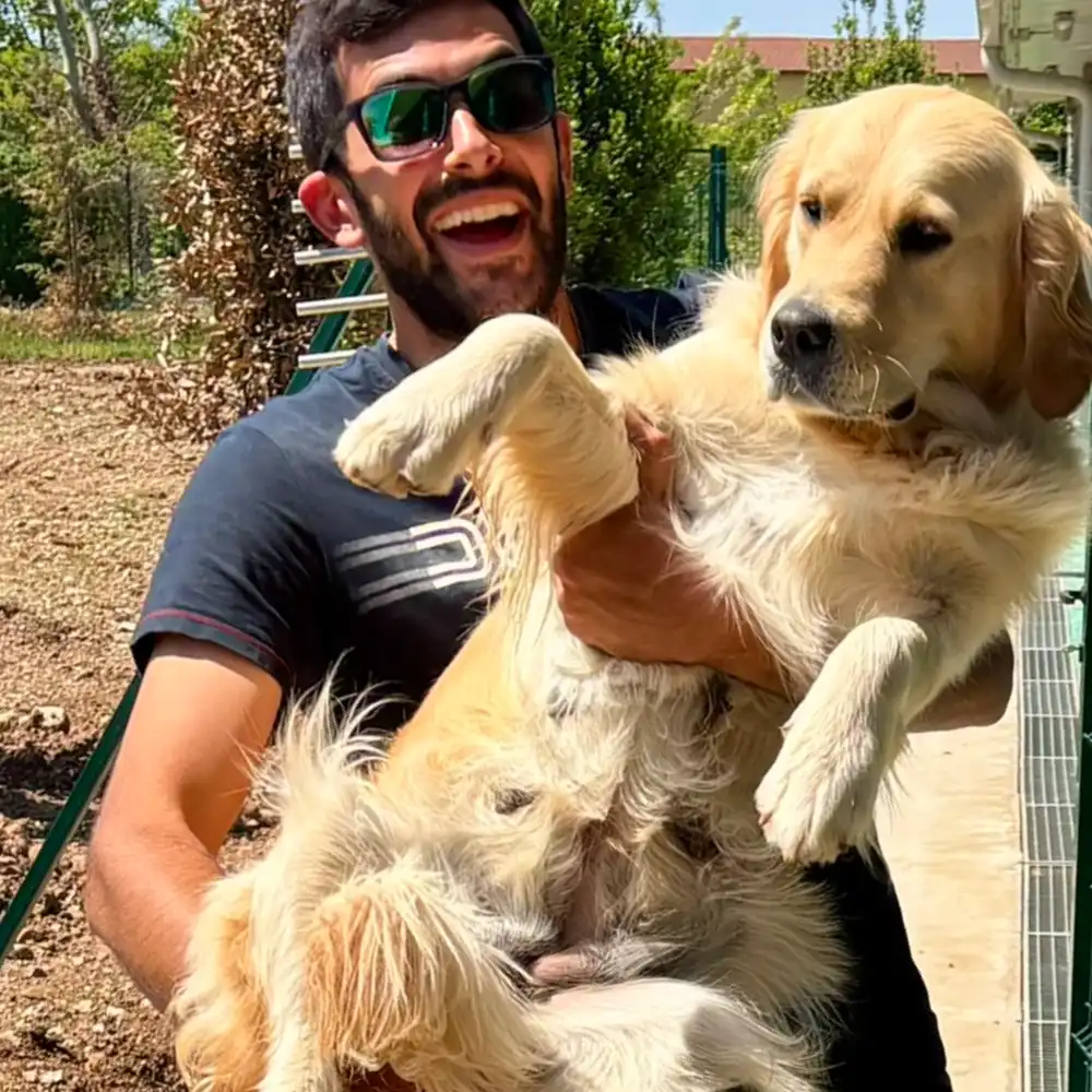 allevamento di golden retriever Mina esemplare femmina